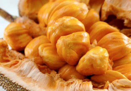 NikYahya2's tweet photo. CEMPEDAK...Buah kesukaan aku ni berlambak di Setiu,Terengganu.RM1 sekg.0 Alhamdulillah memang menjadi tahun ini.Byk tuannya bg free je kpd jiran2.Nak jual tak berbaloi. Aku suka buat buburmAnda? https://t.co/Nz9g6VHDOk