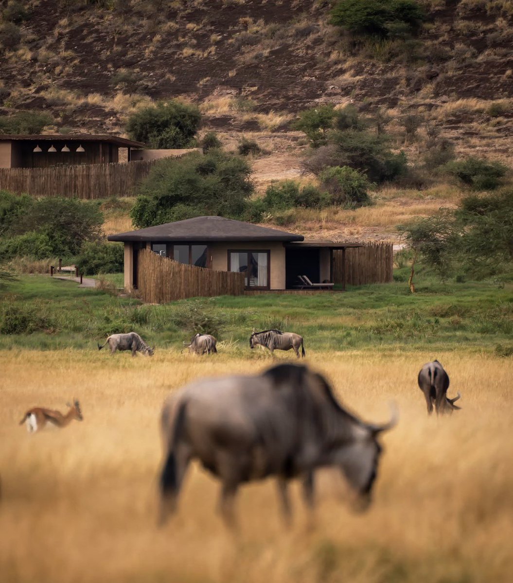 letsDiscoverke's tweet photo. Kitirua plains, Amboseli. What a beautiful place! https://t.co/skNMK6ZS84