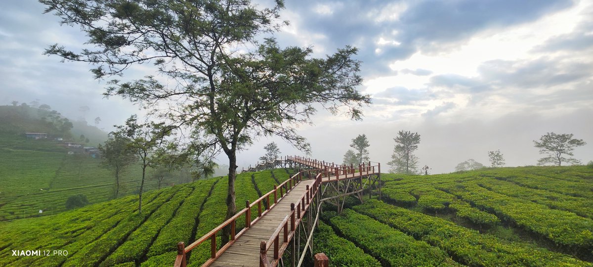 enjoys__'s tweet photo. Drop foto apapun asal di bandung !!! https://t.co/KN305xm8q7