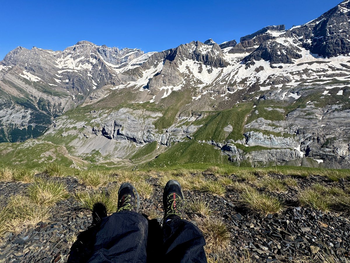 mygetawayhere's tweet photo. best sunday nap spot https://t.co/aM7dcEYFrY