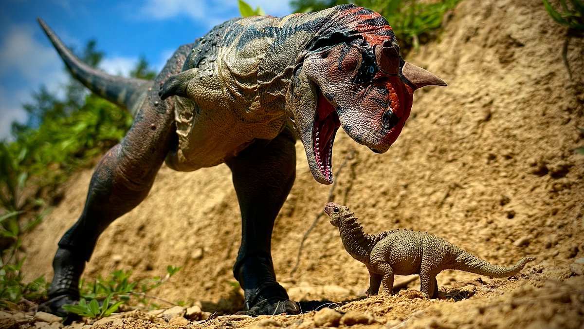 CollectorPaleo's tweet photo. Monster At The Mouth of The Canyon
#creativebeaststudios #beastsoftjemesozoic #paleontology #paleoart #dinosaur #toyphotography https://t.co/lkjf7wiQ1X