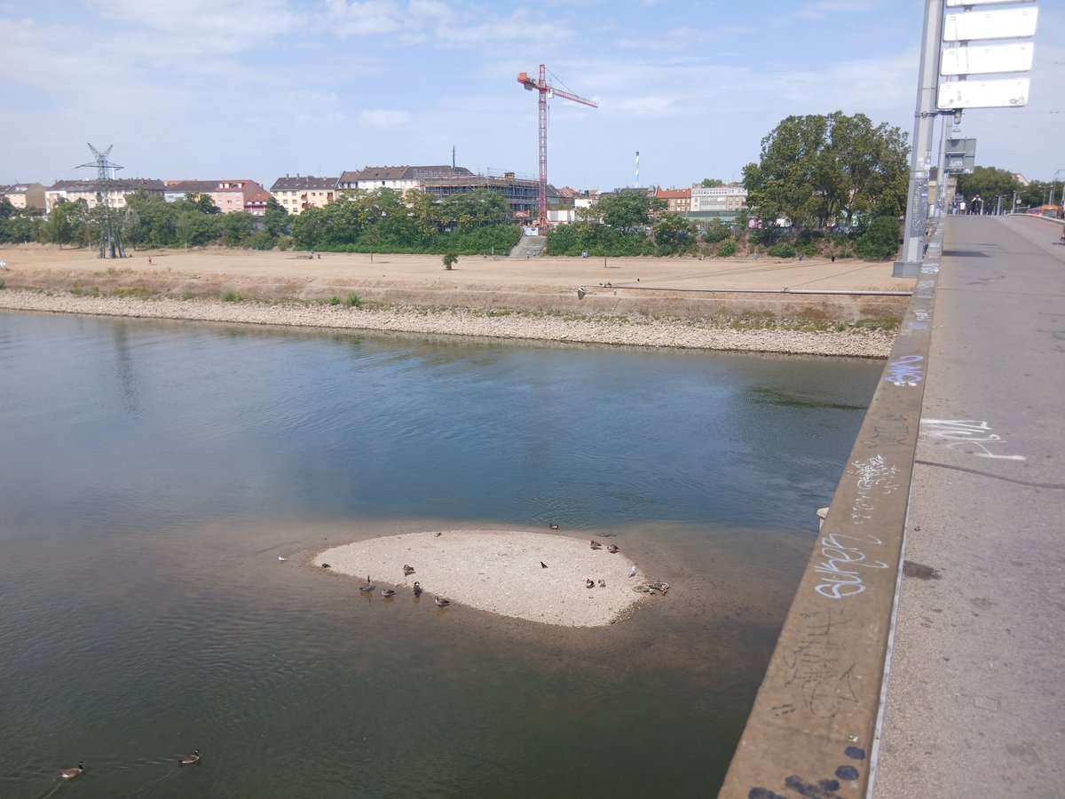 BONNETWILFRIED's tweet photo. Der Wasserstand am Neckar :
sehr ,sehr wenig .
a b e r  , zwei alte Fahrräder sind wieder aufgetaucht .

🏌‍♀️schönen Sonntag https://t.co/GclQugerT7