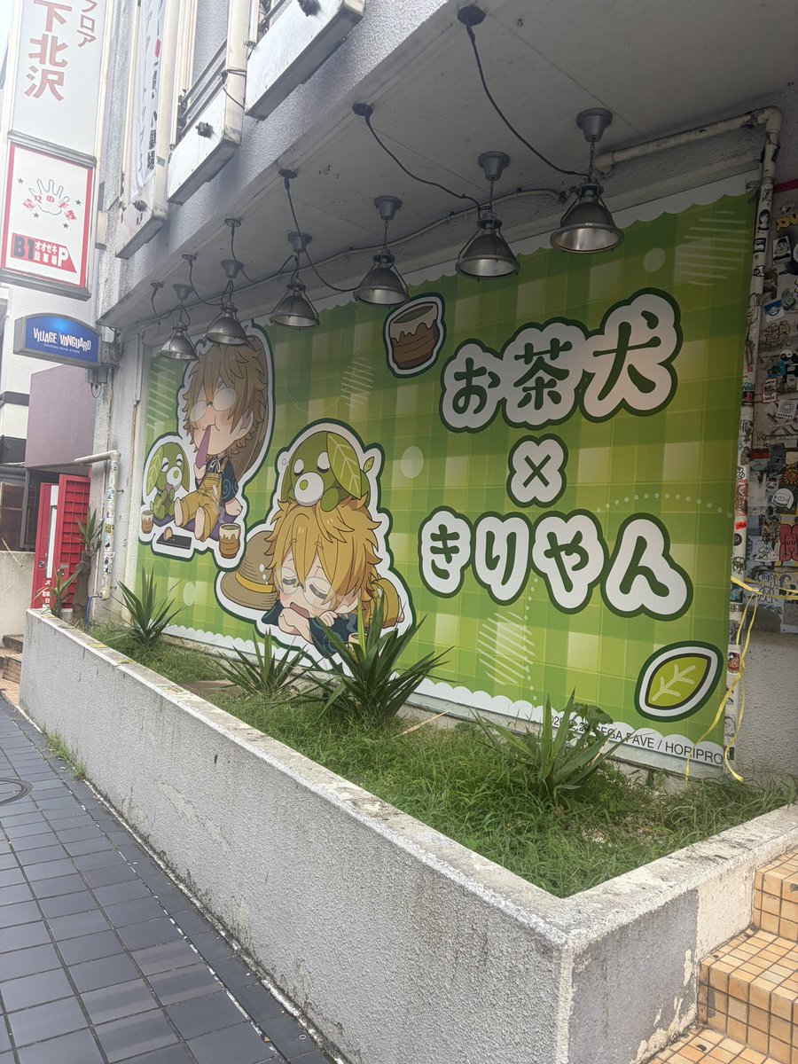yunono_fuga's tweet photo. ふつうに下北歩いてたらでっかいやんさんいてびっくりした https://t.co/Ln5PDopC13