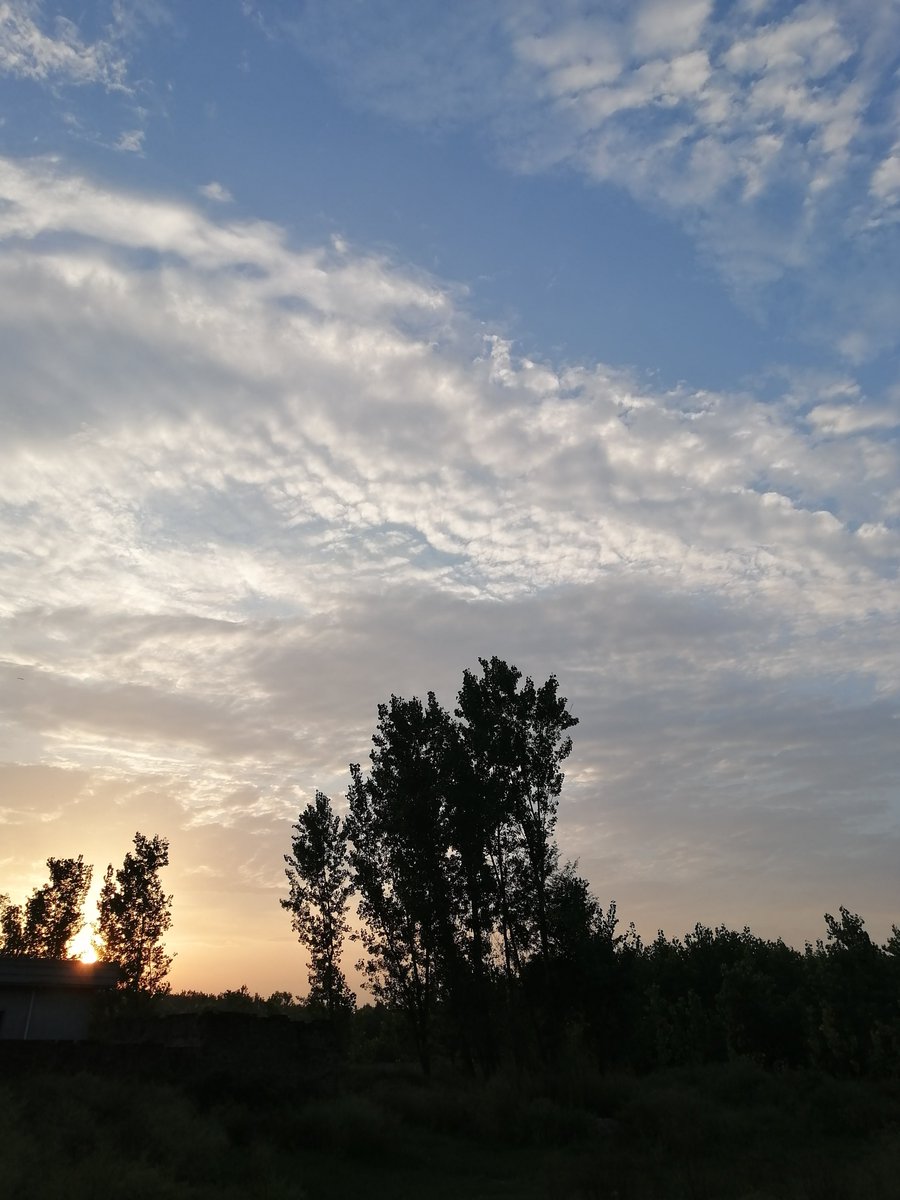 MSherdilkhan's tweet photo. 🌅🌳 https://t.co/DKsZbNuxN6