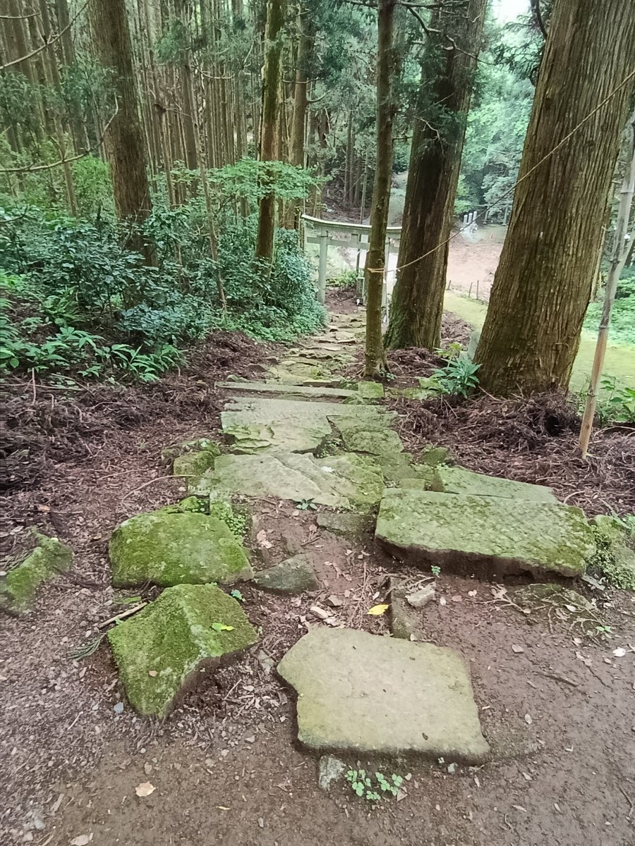 MiuUniverse's tweet photo. 加波山神社⛩️

普通の車ではたどり着けません😱
すごいアトラクションでした😁🚗³₃

⚠️なんと‼️高天原社 石室👀‼️
黒いアゲハ蝶🦋がずっと道案内してくれていました
頂上⛰️に登った時にも現れました🦋

やたら数字👀‼️🤔🤔🤔 https://t.co/ivaK5mOALN