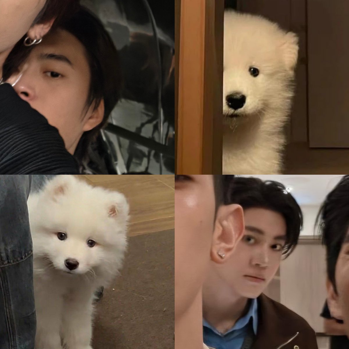 justonlyme1919's tweet photo. ทุกเรื่องงง ทุกราวว~🐶🤣🤏🏻

#Gemini_NT 
#Almondbabybigboy https://t.co/YgwfQqxwEm