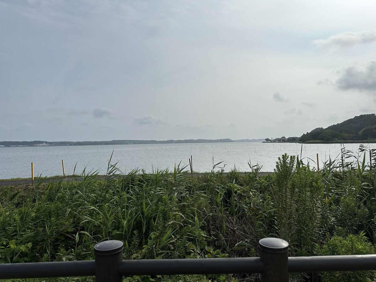 unitiku tweet picture