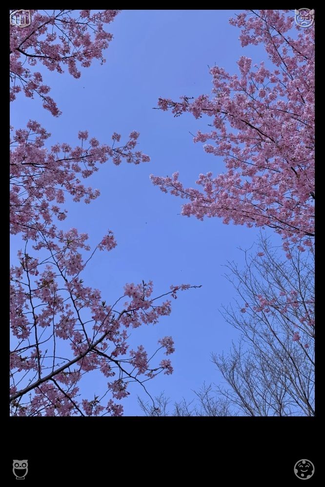 wonho_forever31's tweet photo. Seated in the café, I savor each sip of my Hong Kong-style milk tea while observing the baristas at work. Their movements are deft and exact, relying on time-honored techniques to craft the ideal taste. It's a wonderful way to immerse myself in a slice of Chinese heritage. 🏖️ https://t.co/kI3suqUk6w