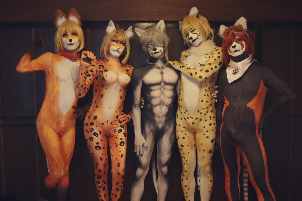 ToraToraurazatu's tweet photo. ｲｲｿﾞ🐅✨ https://t.co/KVGlOkso0E