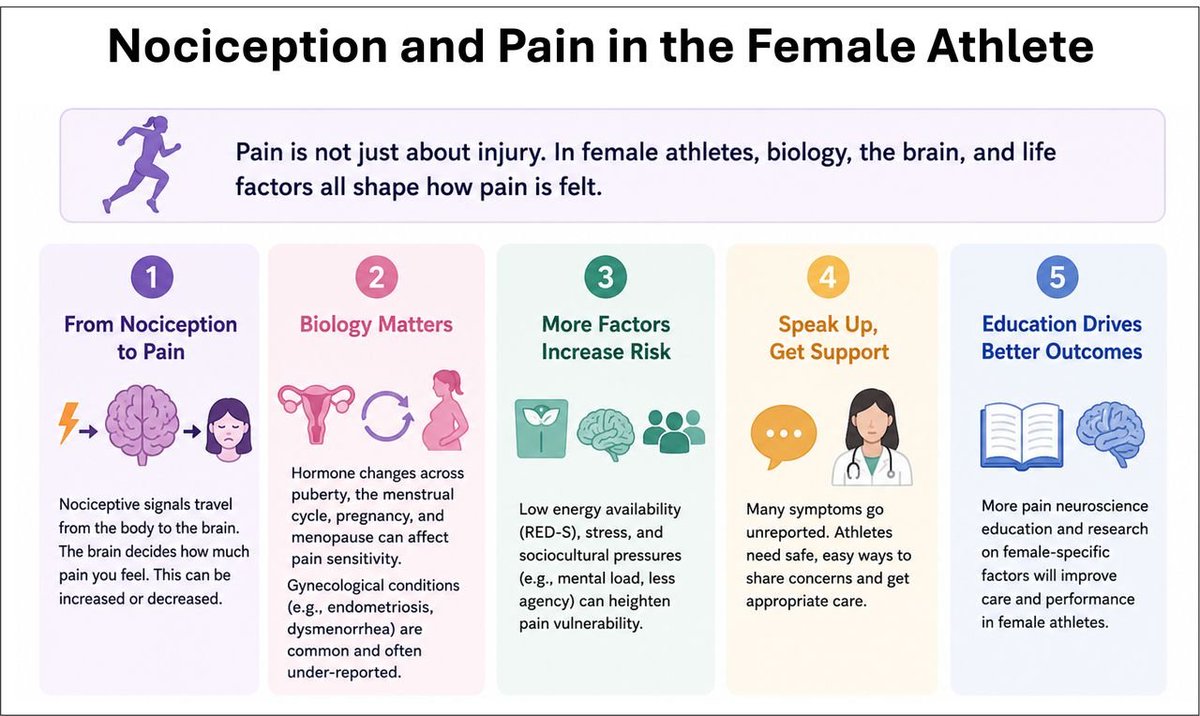 PhysioMeScience's tweet photo. Pain neuroscience in the female athlete

https://t.co/LurmfPEDFR https://t.co/VLaoq52k2D