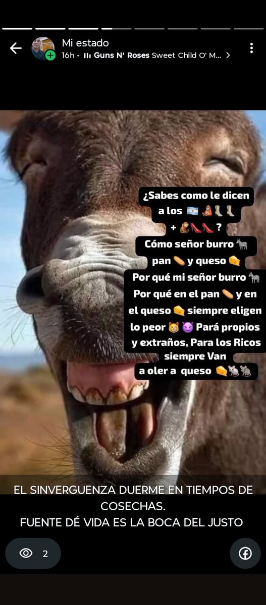 Claudio64727006's tweet photo. @VHMok 🐀🧀🐁 🇦🇷=SÉ PRENDIERON FUEGO/BAÑOS DE ACEITE HIRVIENDO:CONCHAS/CULOS/TETAS/BOLAS EN BRASAS🔥👹NO HAY NINGUN CEBOLLITA LLENO DE AUGEROS/EN EL VERAZ/MOROSOS INCONTABLES/CARADURAS EN TODOS LOS RUBROS DEL TRABAJÓ/LOS Q VIVEN DE LA CARIDAD DEL CONSUMO/DÉ CONSUMIDORES/CON EL CULO ROTO https://t.co/42zXxBY4Qo