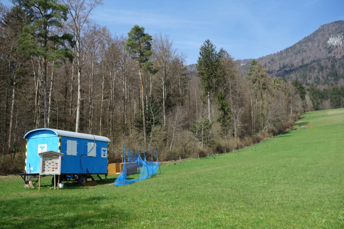 SwissSpoony's tweet photo. Soeben gebloggt: Frühlingstour nach Grenchen ! - https://t.co/U6k0jIk4Wi https://t.co/ipIXtGl7XZ