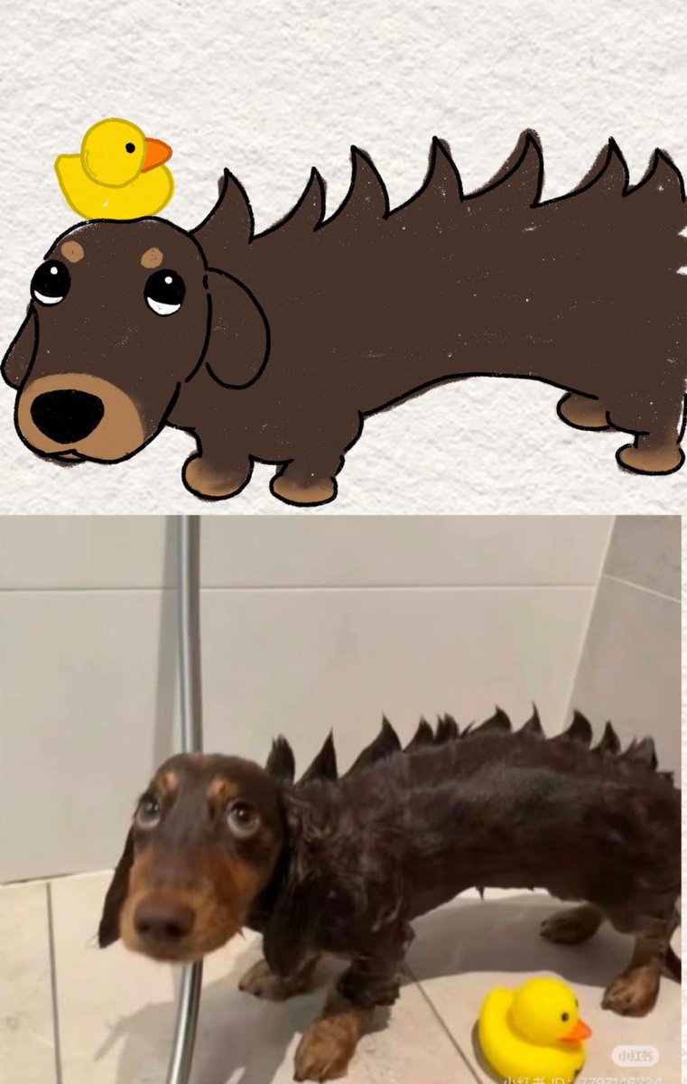 twaniimals's tweet photo. https://t.co/BEyNKBhNp8