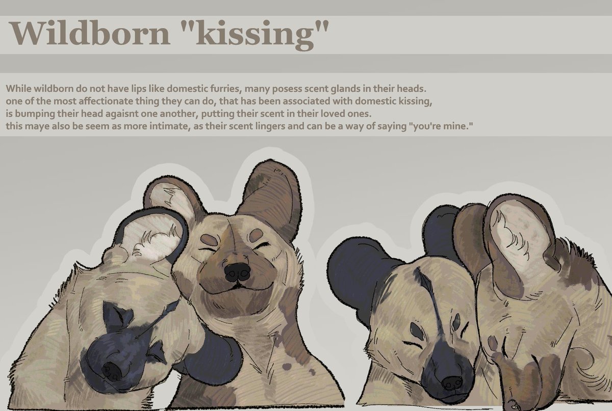 LEPER_KlNG's tweet photo. "would the wildborns kiss or would they show affection more how an animal would. your worldbuilding is interesting." ->

thank yew! i made a post about it awhile back :'3

 https://t.co/EYqBZtsQUL https://t.co/WENorq1KlE