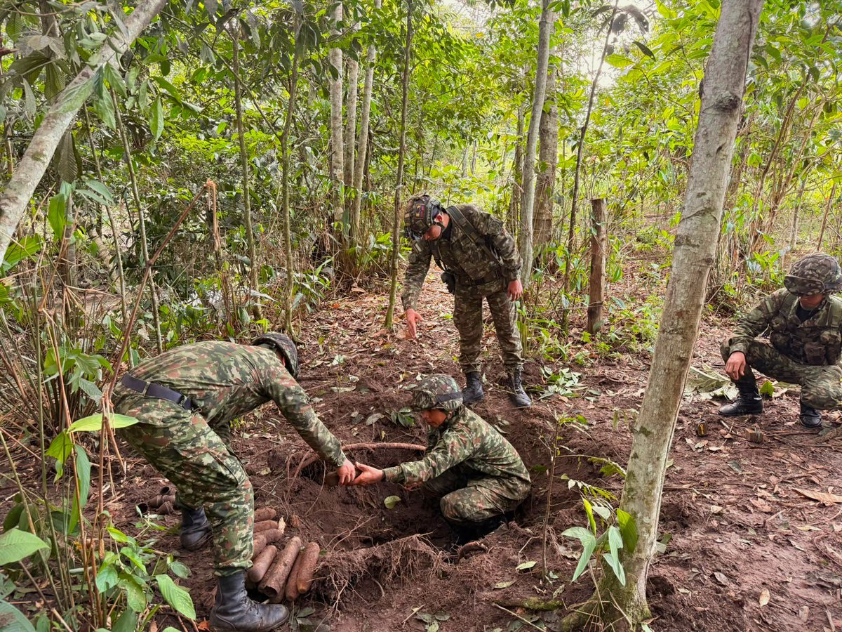 COL_EJERCITO's tweet photo. En #Meta, #Guaviare y #Caquetá, la @ftc_omega y sus Fuerzas de Despliegue Rápido han alcanzado 261 afectaciones operacionales en 2026, debilitando las estructuras criminales y sus economías ilícitas.

Entre los resultados se destacan 33 capturas, 5 sometimientos a la justicia, 3 menores recuperados, la destrucción de 110 laboratorios y la neutralización de 601 minas antipersonal y 77 artefactos explosivos improvisados.

Con más de dos décadas de presencia operacional en esta región, nuestros cerca de 5.000 soldados continúan cumpliendo la misión bajo el Plan de Campaña Ayacucho Plus, con respeto por los DD. HH. y el DIH.

🇨🇴 216 años de historia, compromiso y servicio a Colombia.

#ContundenciaOperacional
#NuestroCompromisoEsColombia🇨🇴