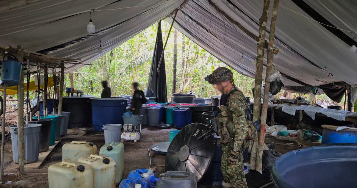 COL_EJERCITO's tweet photo. En #Meta, #Guaviare y #Caquetá, la @ftc_omega y sus Fuerzas de Despliegue Rápido han alcanzado 261 afectaciones operacionales en 2026, debilitando las estructuras criminales y sus economías ilícitas.

Entre los resultados se destacan 33 capturas, 5 sometimientos a la justicia, 3 menores recuperados, la destrucción de 110 laboratorios y la neutralización de 601 minas antipersonal y 77 artefactos explosivos improvisados.

Con más de dos décadas de presencia operacional en esta región, nuestros cerca de 5.000 soldados continúan cumpliendo la misión bajo el Plan de Campaña Ayacucho Plus, con respeto por los DD. HH. y el DIH.

🇨🇴 216 años de historia, compromiso y servicio a Colombia.

#ContundenciaOperacional
#NuestroCompromisoEsColombia🇨🇴