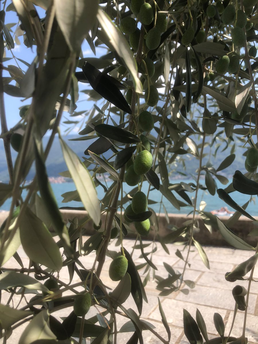 Myblogs10's tweet photo. #colonno #spiagga #comolago https://t.co/U6lMpDPPwD