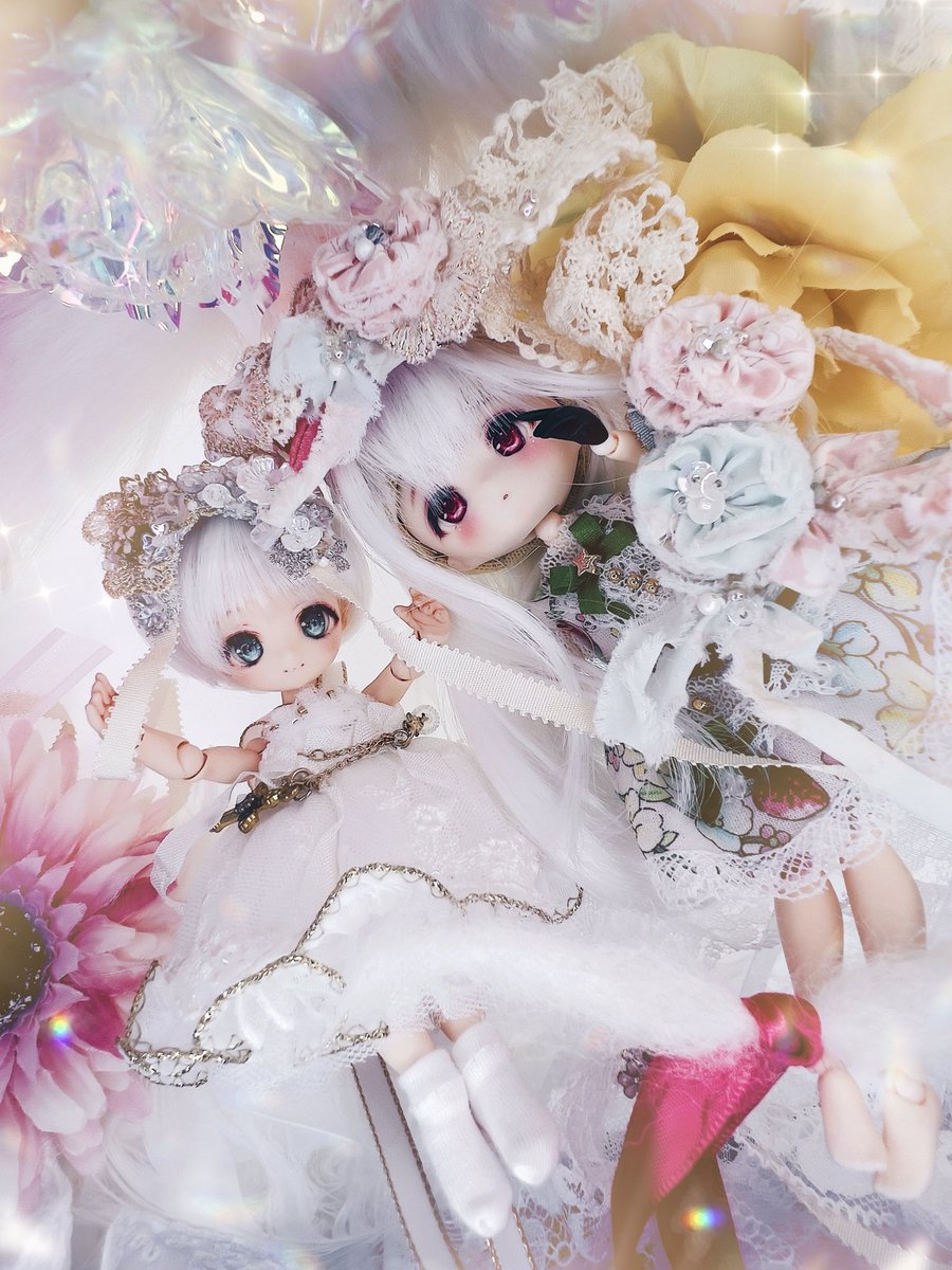 mi_mi_mi_doll's tweet photo. お嬢様𝕖𝕝𝕖𝕘𝕒𝕟𝕥〜ꪔ̤̮ ✨˖°⌖꙳✧˖

#今夜のドール撮影120分一本勝負
#OBヘッド
#今日のる～ちゃん
#はなとありす https://t.co/st5JOb014m