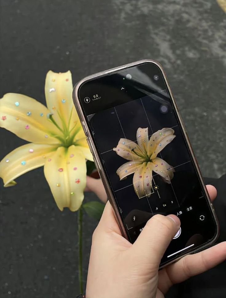 dreamyflowerrs tweet picture