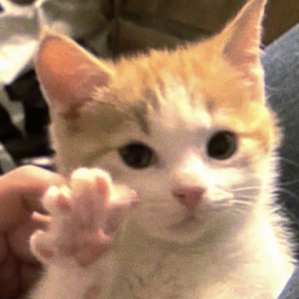 mokpotokyo's tweet photo. https://t.co/QM5BsaiPGX
