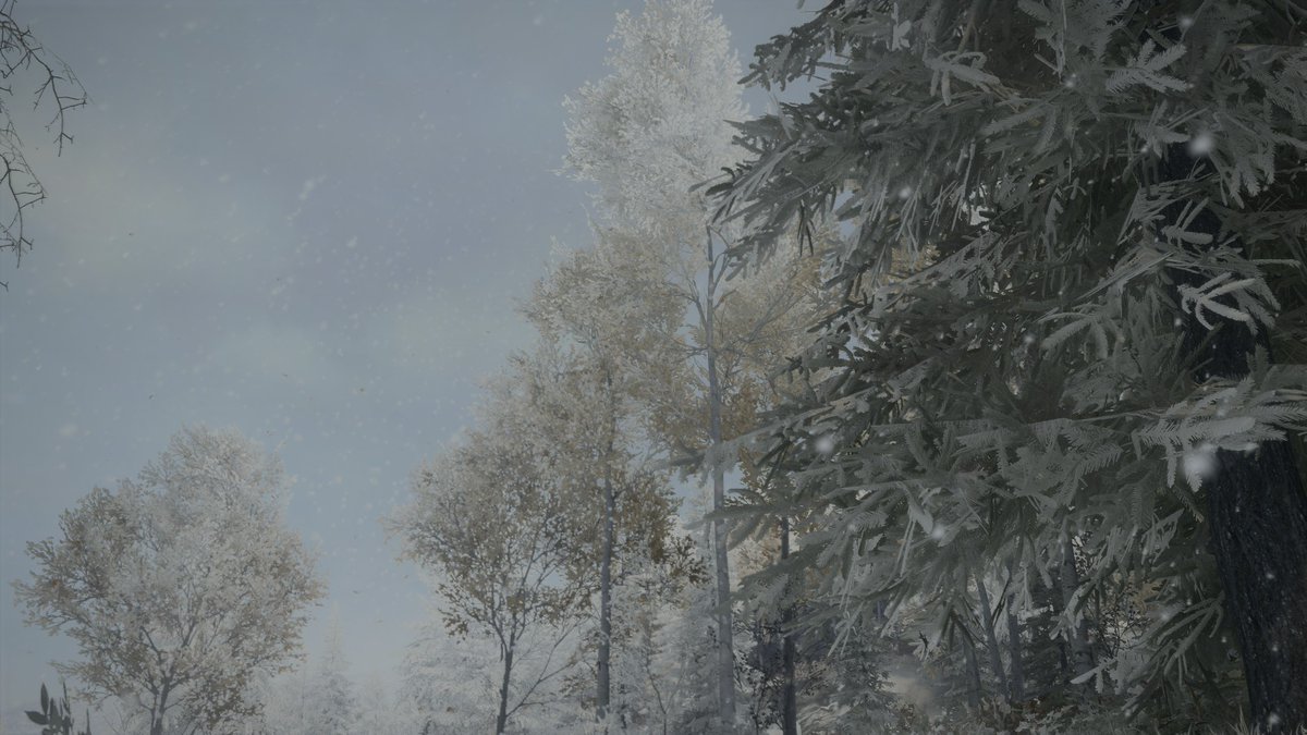 maruneko_maa's tweet photo. 先程のハンター
あーかいぶはこちら

【the Hunter: Call of the Wild】 果たしてこれは散歩なのか https://t.co/VCz9yx7PmY via 

＃YouTube ＃thehuntercallofthewild #マルチプレイ　
#配信　#アーカイブ

FA⇒　＃おっどAI https://t.co/wSuHHvBBp4