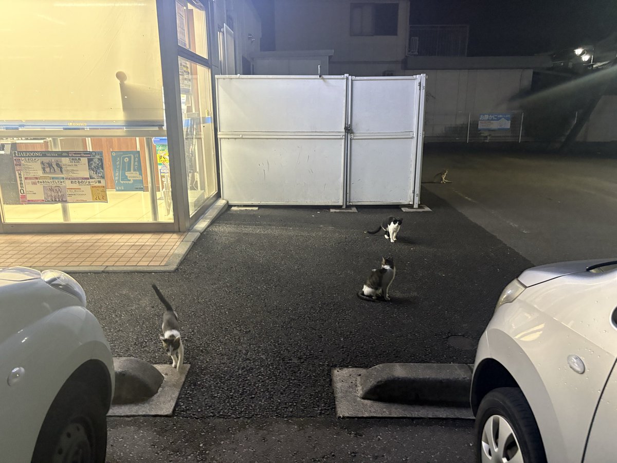 kyuki729's tweet photo. 田舎のコンビニたまにこれなの可愛いんよな https://t.co/AlcPznqBVI