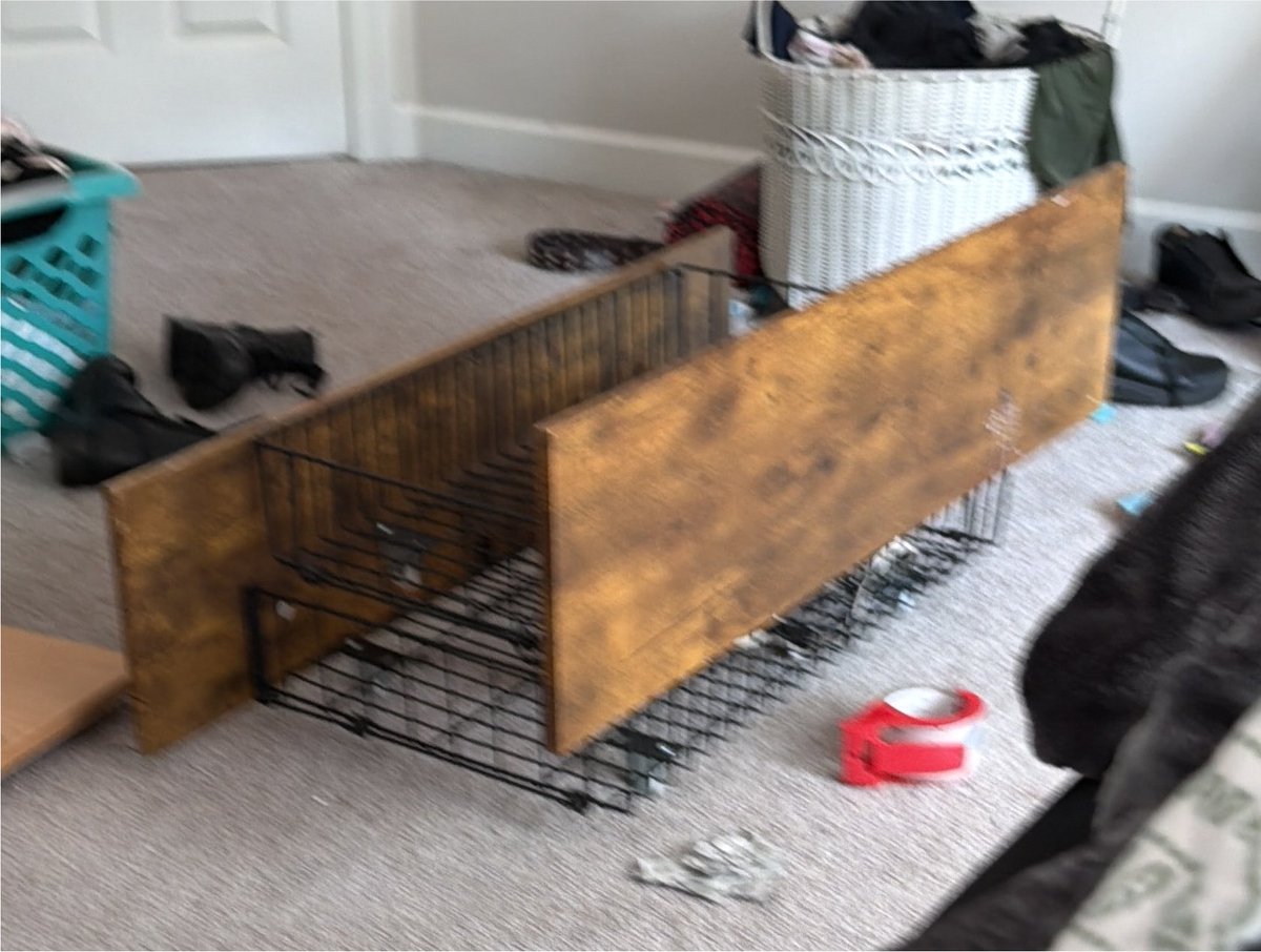 moegvmi's tweet photo. my mom just got mad at me for ????? using the attic ????? for its intended purpose?????? of storage?????? so im keeping this in the middle of my room until i move out to spite her i guess https://t.co/EKQWHHhnTk