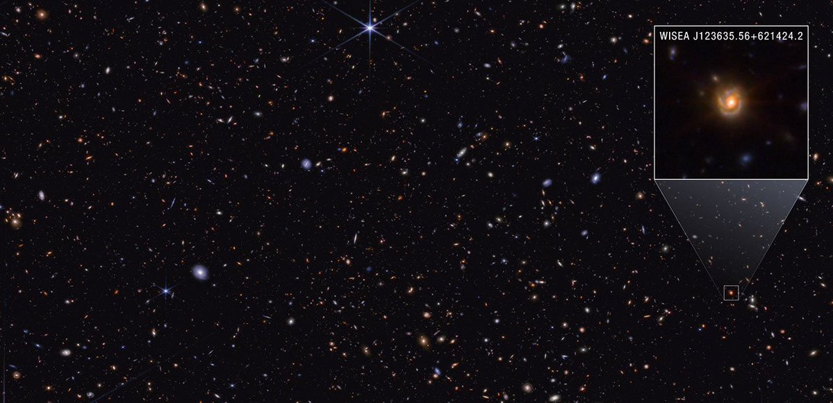 NASA_Marshall's tweet photo. 🌳@NASAWebb is helping scientists trace the “family tree” of some of the most distant objects ever found in the early universe!

Learn more: https://t.co/GeiExJGUGj https://t.co/HZ2T3lw6Kw