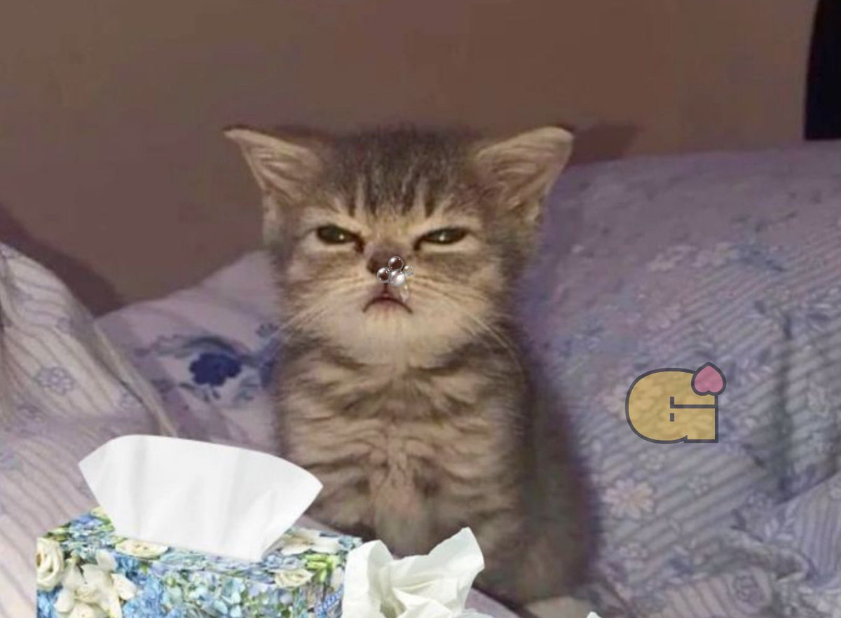 Guarromantico_'s tweet photo. Yo despertando después de dormir toda la noche con el ventilador en la cara: https://t.co/LAFSGaEweY