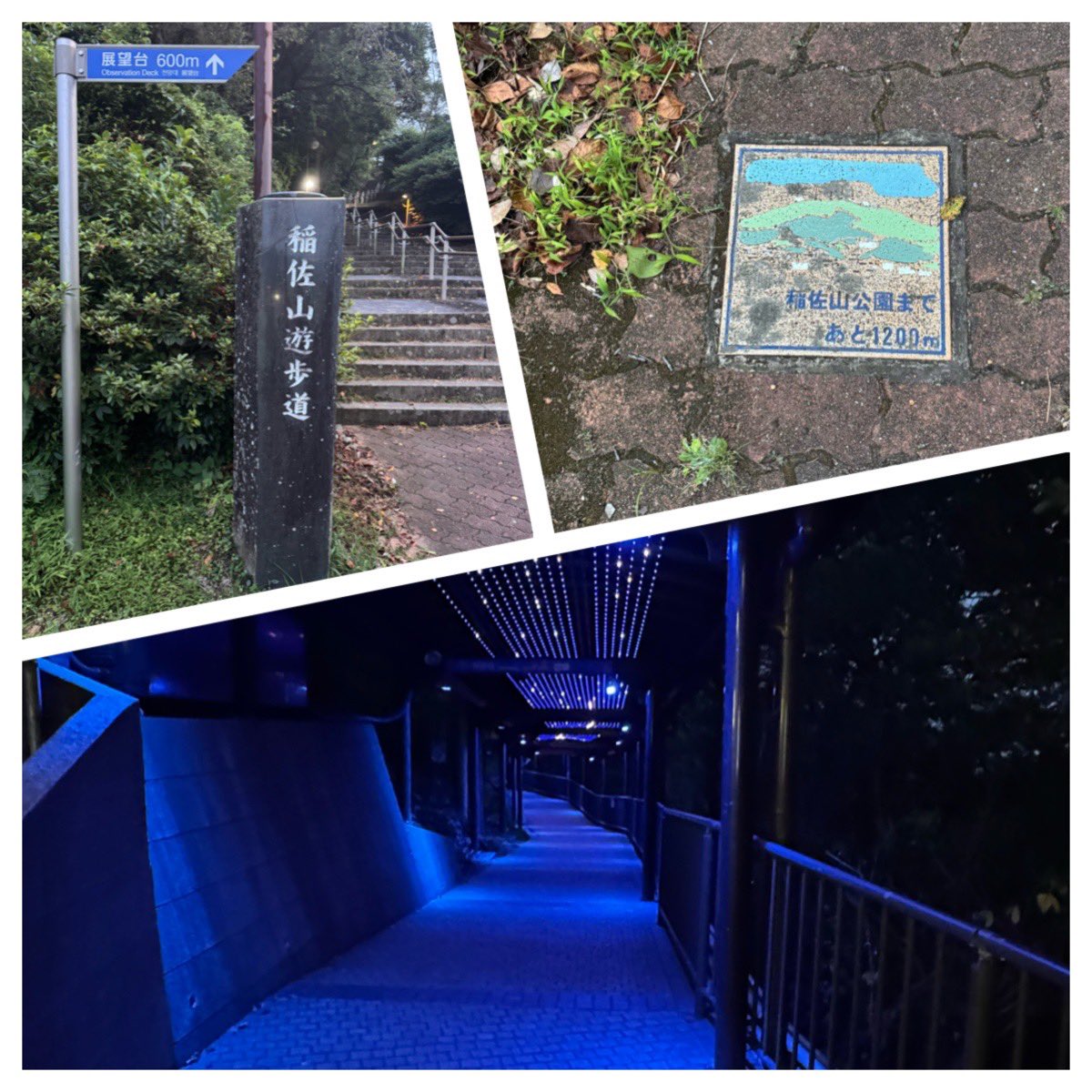 runner_eiki's tweet photo. 今日は 用務終了後 気温29℃ 夕方から日没🌅にかけて、出張ハイキング5.65km♪
JR長崎駅スタートで 標高333mの稲佐山へ登頂アタック🏃💦
2021年『世界新三大夜景』認定だそうです🌃
#HokaOneOne #Rincon4 👟
#二部練
#朝ラン #ランニング
#走れることに感謝
#RunToFeel https://t.co/7TcSzUAZUB