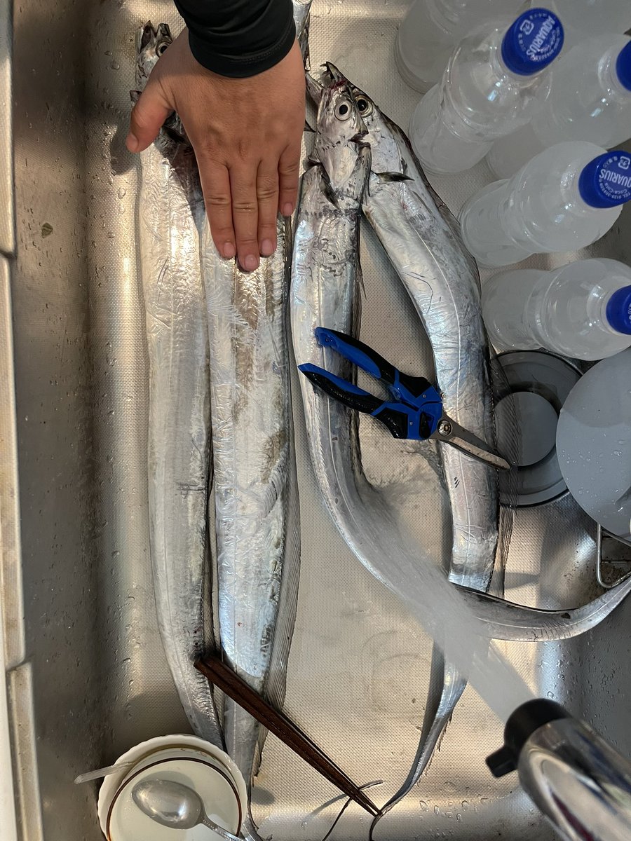 ___Harupy___'s tweet photo. 太刀魚4本のみ…
おもろいしちゃんとタックル揃えようかな https://t.co/HvRo8qxrhY