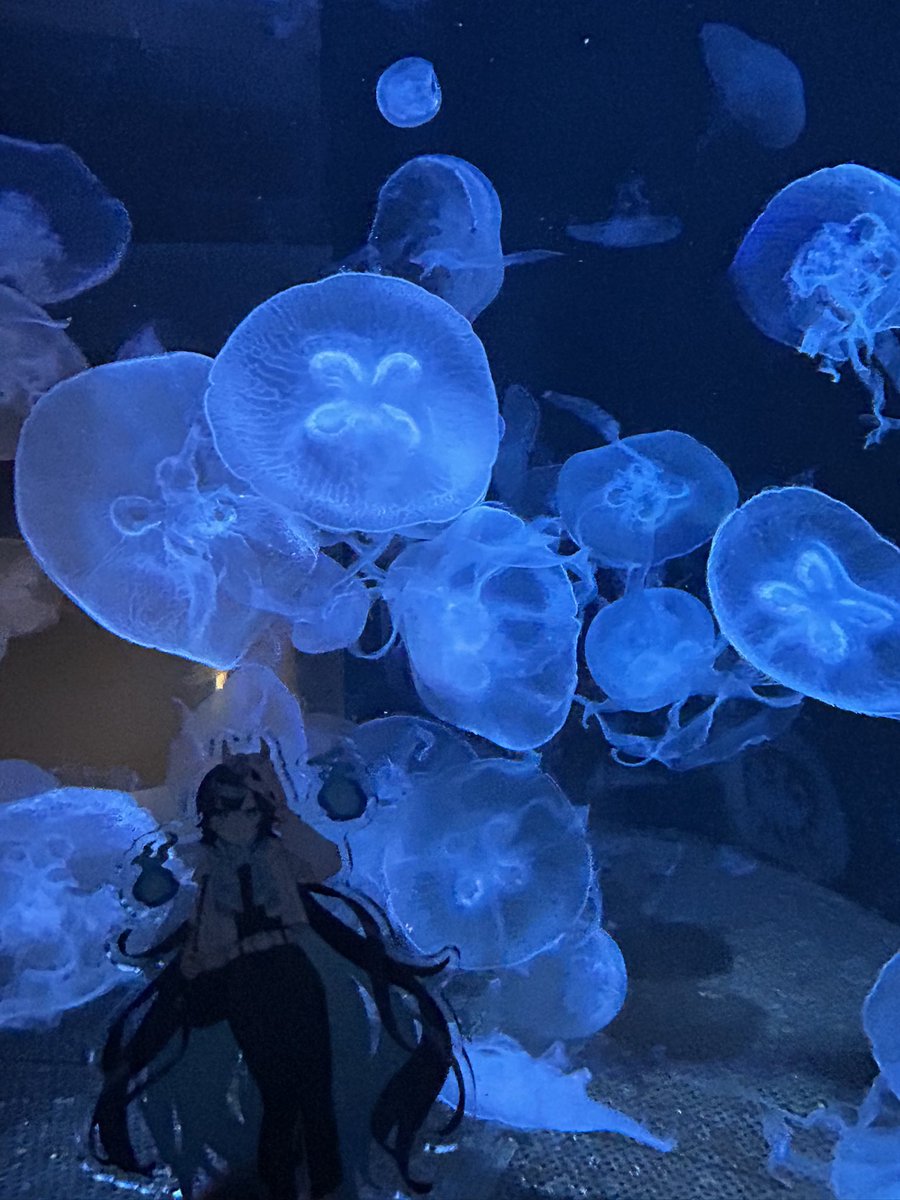 r_n7cx's tweet photo. めめさんと秋田行ってきた✈️💫
水族館のクラゲ綺麗だった🪼
#ﾒﾒ旅 https://t.co/oEBMPyb6wC