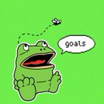 Photo by Get Out Frog (@GetOutFrog_)