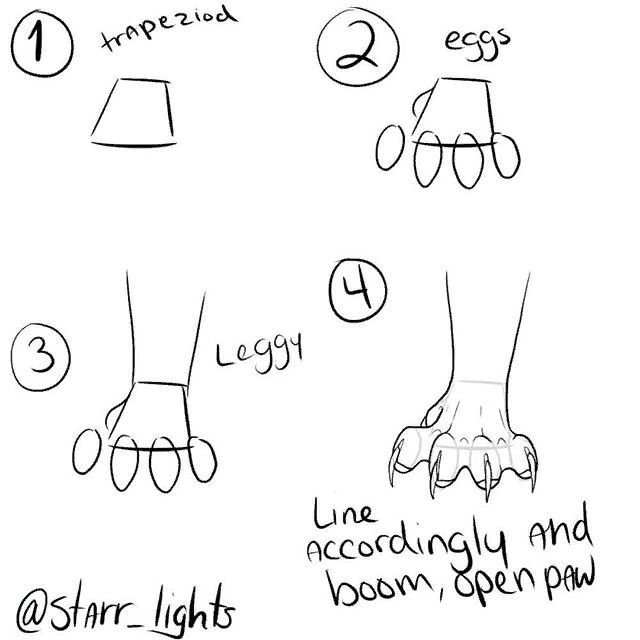 LumiCanvass's tweet photo. Complex paws start with ridiculously simple shapes. https://t.co/SBo2olgoGS