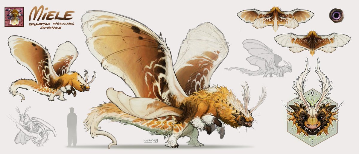 Unravy_'s tweet photo. It's my bday! Sharing some moths to celebrate! 🎉✨ https://t.co/7Du5DQhzsr
