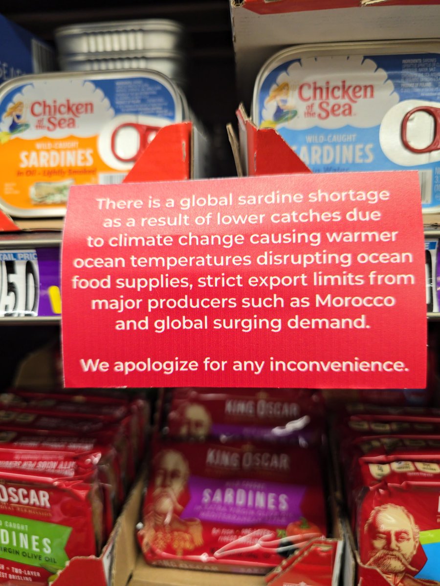BostonNewsMan's tweet photo. Well this isn't good.... #Sardine #Shortage https://t.co/KZkJB4oVPH