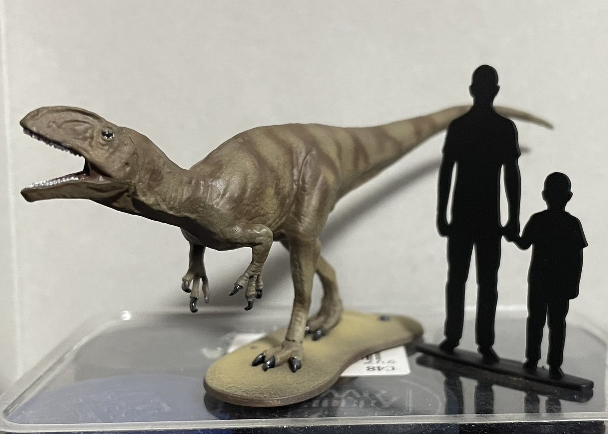MaigoModera's tweet photo. タミヤ　1/35フクイラプトル完成しました。
1日かからず完成です😊 https://t.co/AVdAUnXfEn