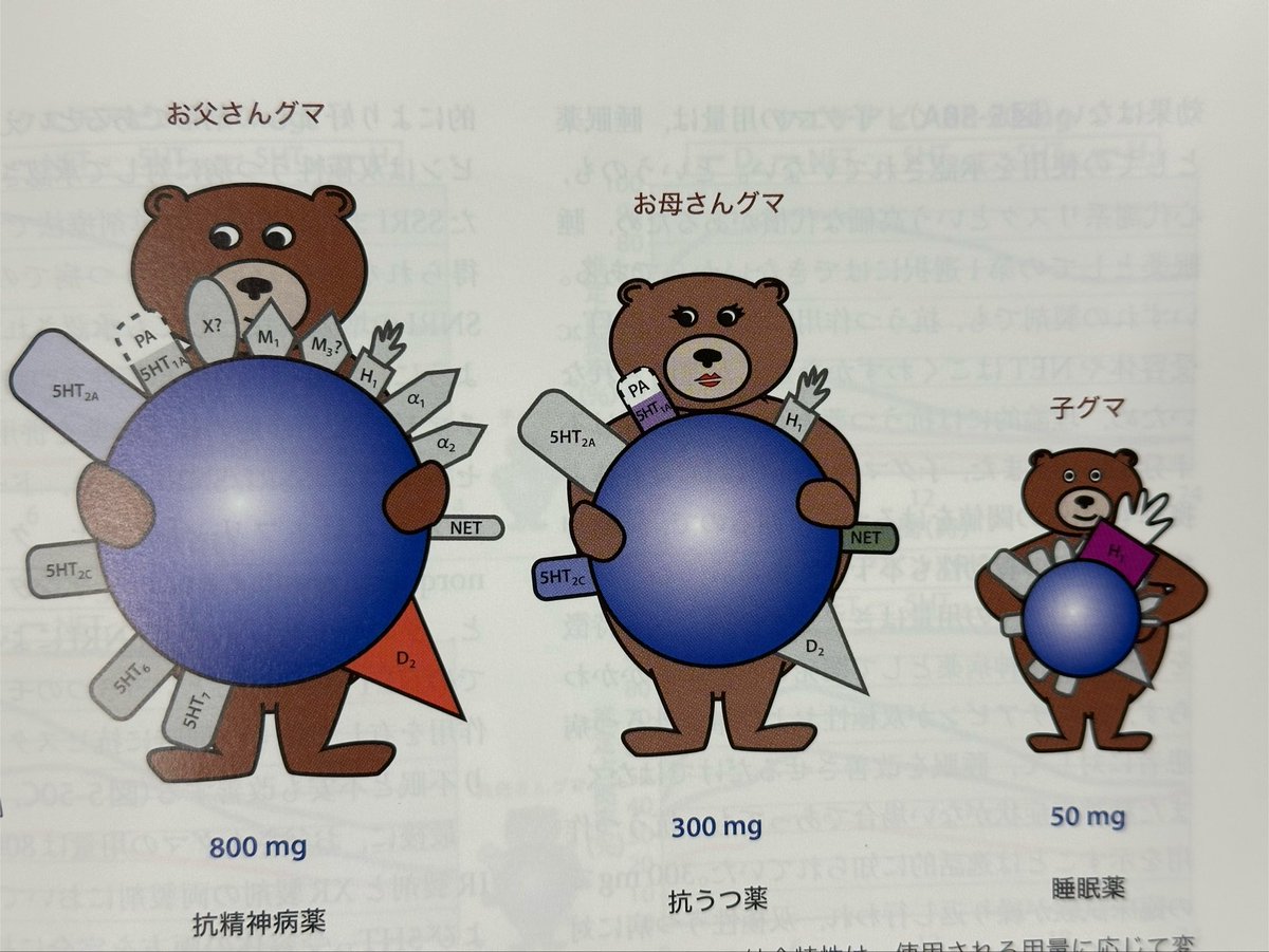 bepiogel's tweet photo. ストールの精神薬理学に出てくる図解はどれも味があって好き🫶
お気に入りはこのクマちゃん🐻 https://t.co/WcOrx9qec8