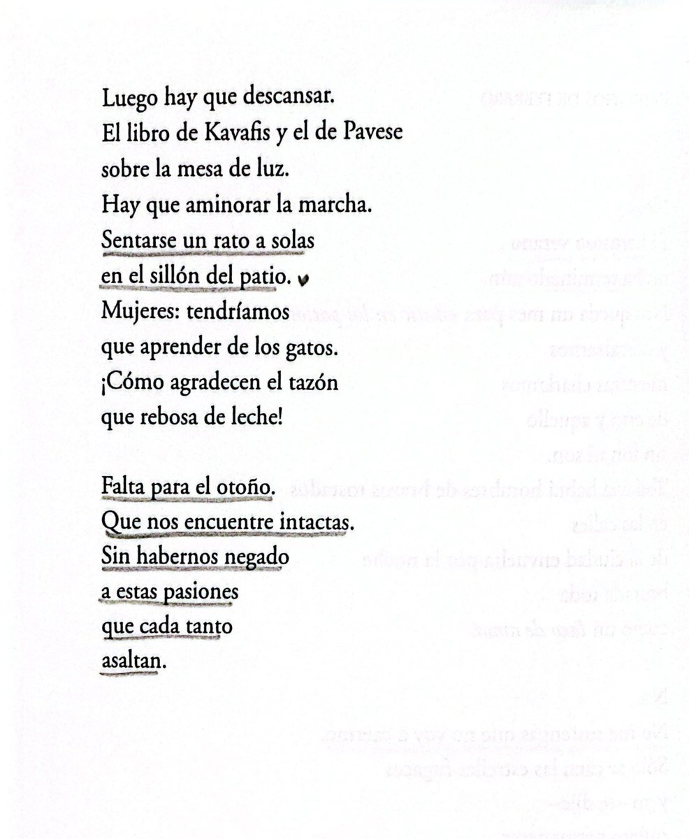 MariaLim0n's tweet photo. mi gran descubrimiento poético del año es Estela Figueroa https://t.co/DN9ec7SgRX