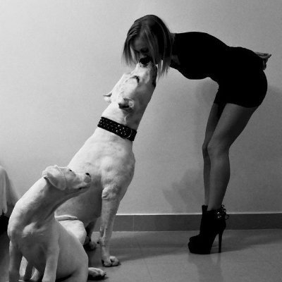 lady__s0nya's tweet photo. My dog satisfies me better ❤️🐶
Come Ask for menu 📁
#Dogs #USA

🖇️👉https://t.co/8cQcvZoqCI https://t.co/sRP8kERD3R