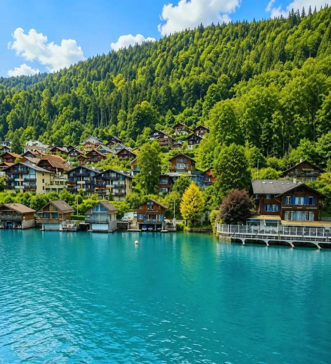 PureNatureHub's tweet photo. Switzerland 🇨🇭 https://t.co/ayL6uWEQRV