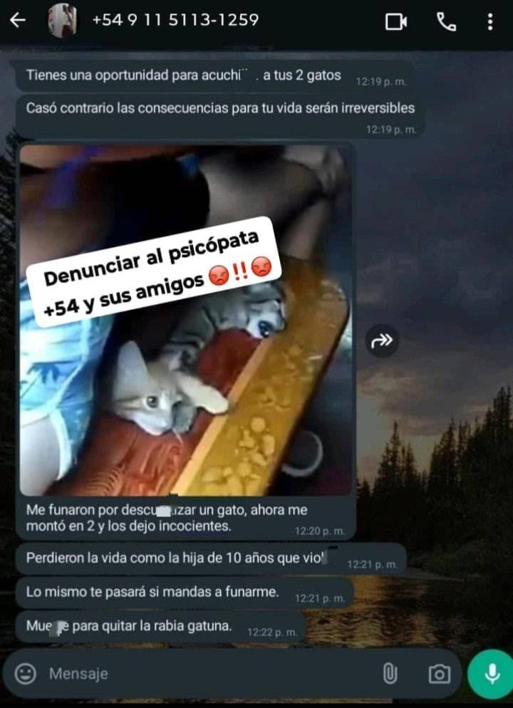 nekowiwii's tweet photo. ULTIMAS ACTUALIZACIONES (TALVEZ) ⚠️ 

Al parecer este grupo lleva desde 2016 y después de una estensa investigación el homicida del gato tiene diferentes direcciones incubridas por AMIGOS Y SU NOVIA ya que aparece que tiene números de Ucrania, México y su cuenta es de Venezuela https://t.co/4cyTMDhXGY
