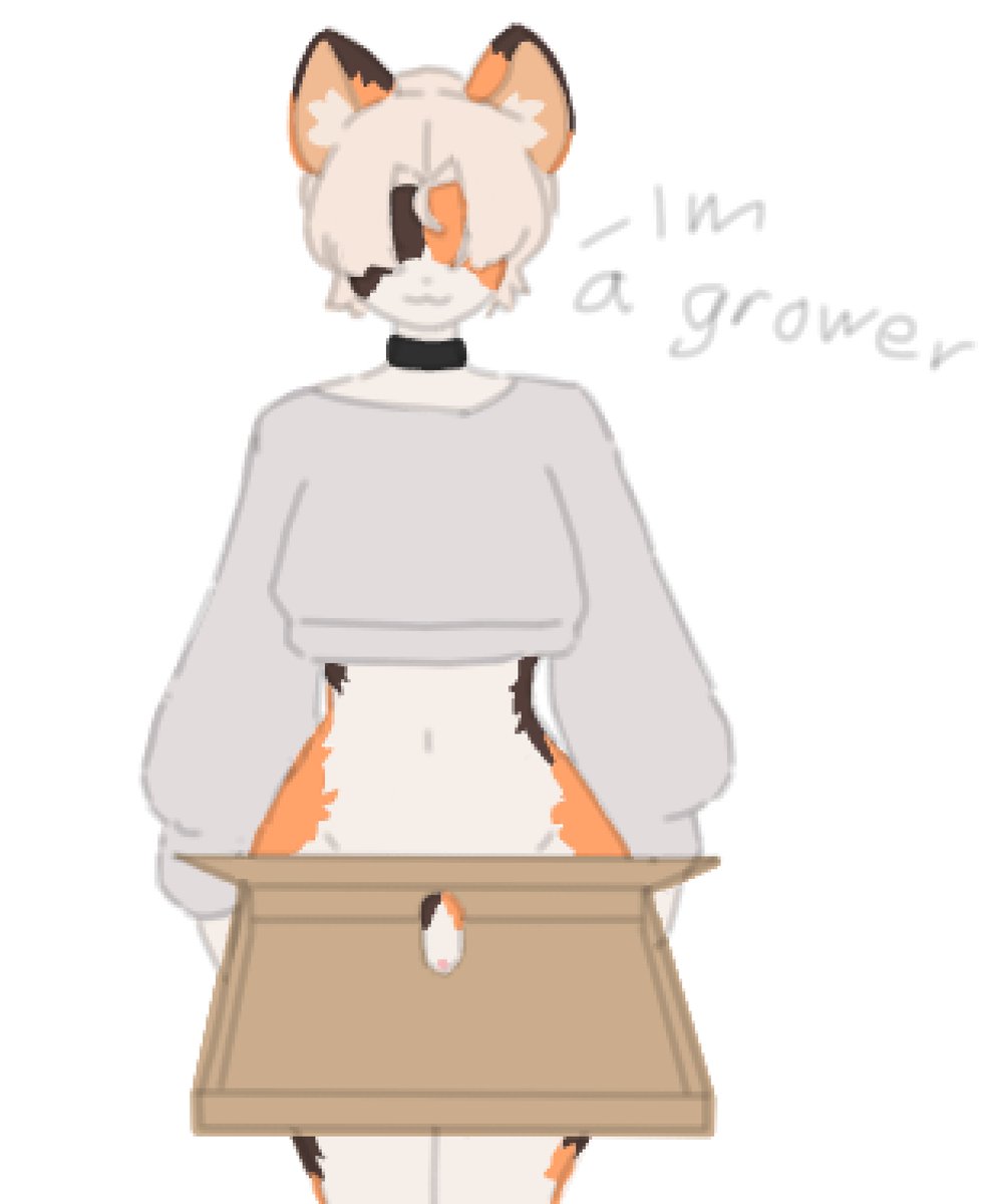 Larpvurin's tweet photo. Small? https://t.co/q4J8Gi6Ktq