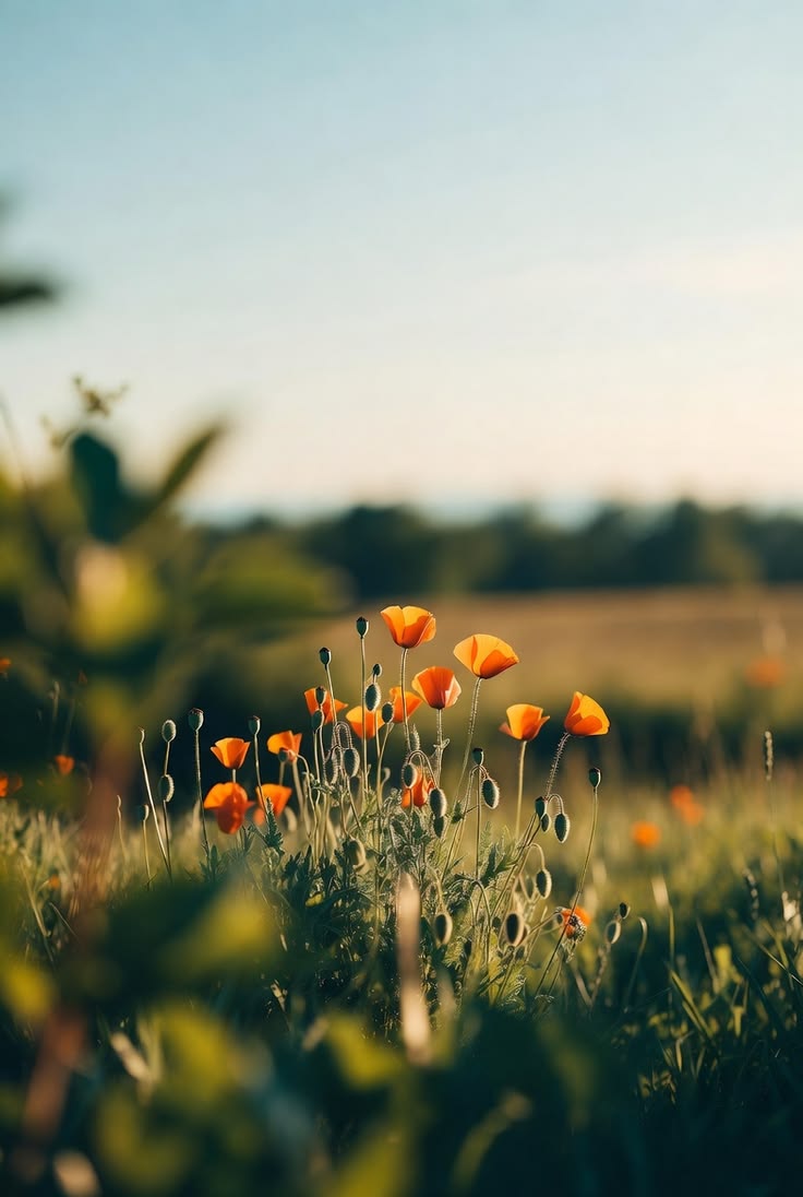 DKNatureExplore's tweet photo. Beauty. 🥰 https://t.co/AUGxUFTsHi