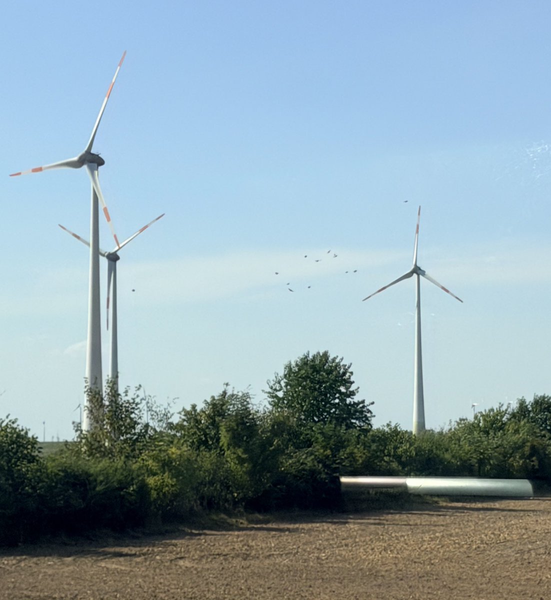 Beatrix_vStorch's tweet photo. Man kann es mit bloßem Auge sehen. Jede Fahrt auf Schiene oder Autobahn erschüttert mich: Sie zerstören unser Land. Die Umwelt. Die Natur. Die Tierwelt. Die Energieversorgung. Die Industrie. Einfach alles. Um das „Klima“ zu retten. Sie geben zu, dass sie das so nicht erreichen. Aber sie hoffen, dass China, USA und Indien unserem Suizid folgen. Es ist eine blanke Katastrophe.