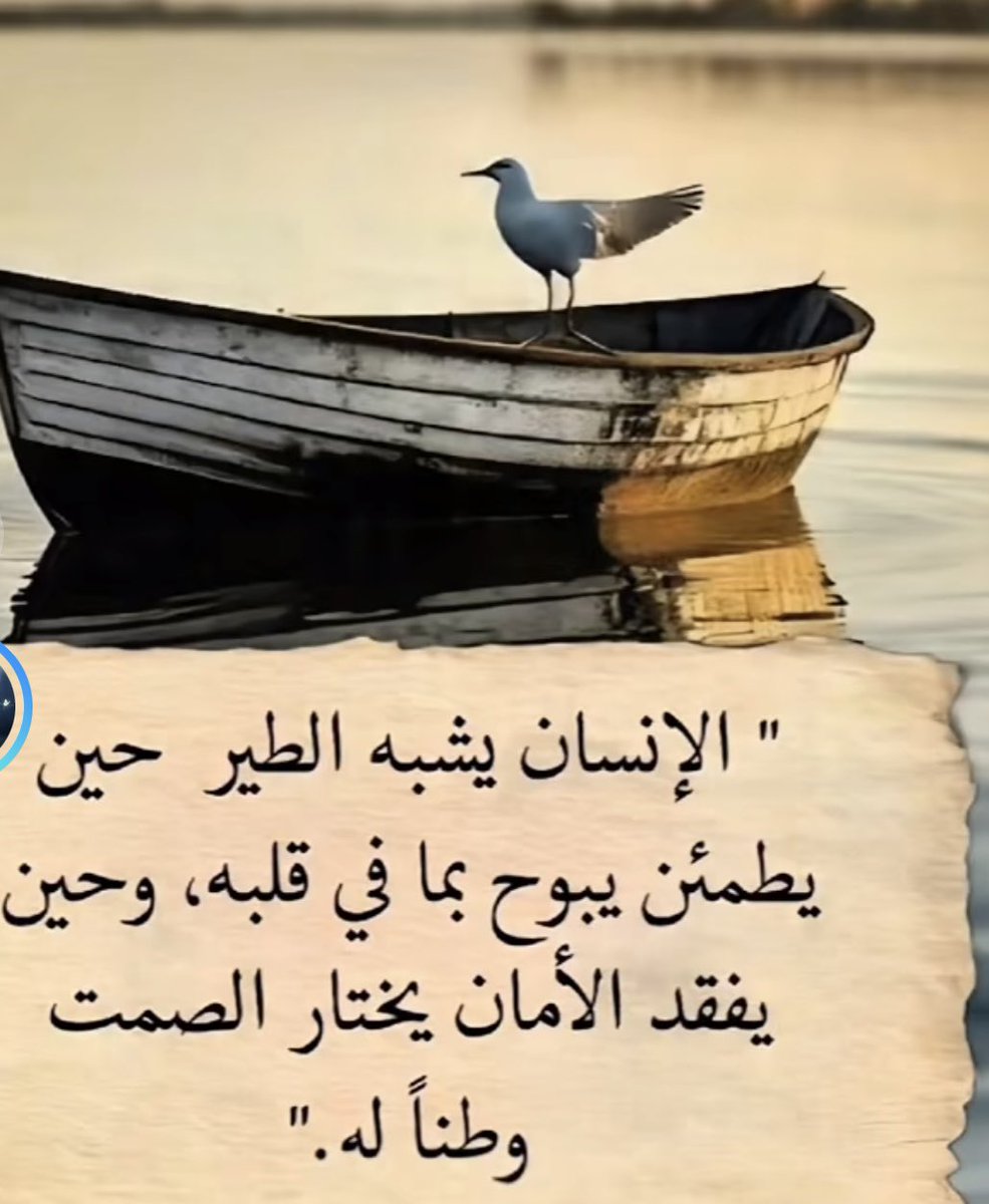 mona_mohammaad's tweet photo. 👌🏻👌🏻💐💐 https://t.co/OJ3Yx7ldTJ