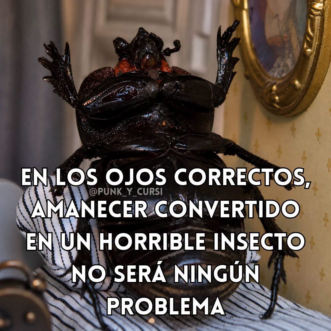 daphnella's tweet photo. Buenos días https://t.co/JaUJZgaWgd
