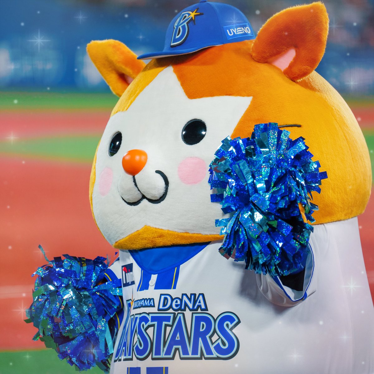 0v0_ydb's tweet photo. おつかれさまでした🐹 https://t.co/CU6qCkGCVN