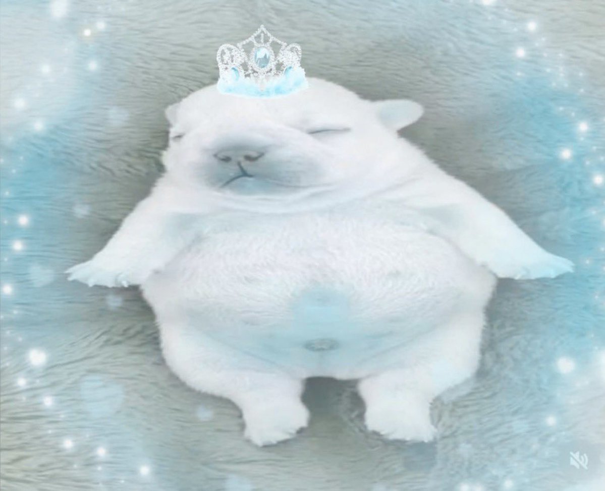 chopkinsom's tweet photo. ✮⋆˙ just a lil inviteee 🩵✨ me n my friends have been changing our dps to blue to welcome our tiny deris hehe 🤏🏻divas 🐈‍⬛ anyone who’s free and would like to join us?? come turn ur dp blue toooo 🩵✨ 

let’s welcome deris together kaa !!

Feel free to turn your DP any shade of blue you likeee 🪄

— ☆彡 #ohmkrit @ohmkrit