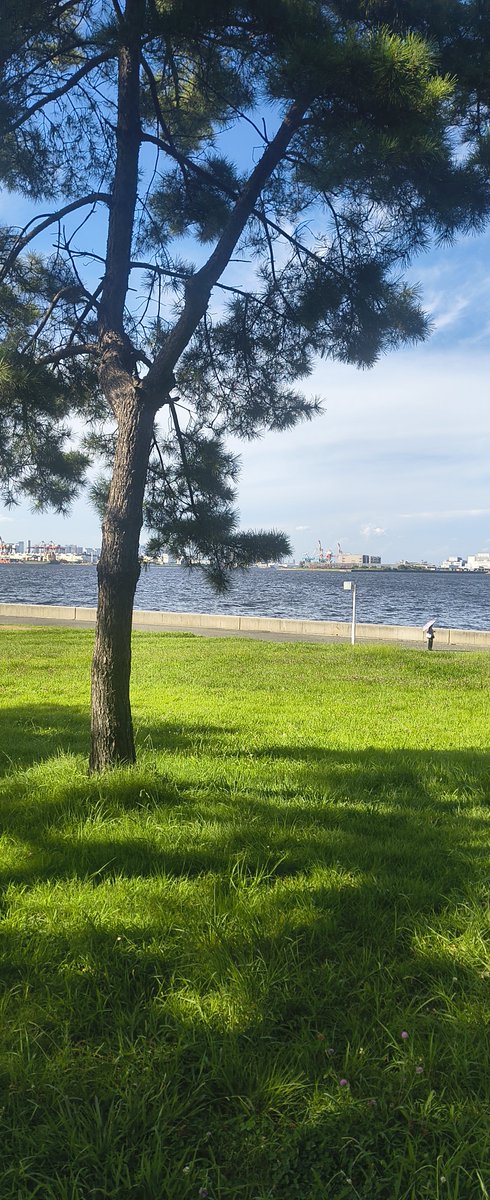 thirstofheart's tweet photo. 城南島海浜公園に来ました‼️🚲🚲🚲
葛西から豊洲、築地経由で
来ましたが、
向かう岸には
羽田空港✈️が見え
飛行機✈️が肉眼で見ることが出来
飛行場の様子も見ることが出来ます‼️

#城南島海浜公園 https://t.co/RnOnLTdWA3
